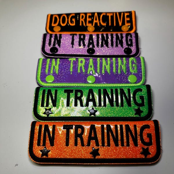 Customizable holographic leash wraps