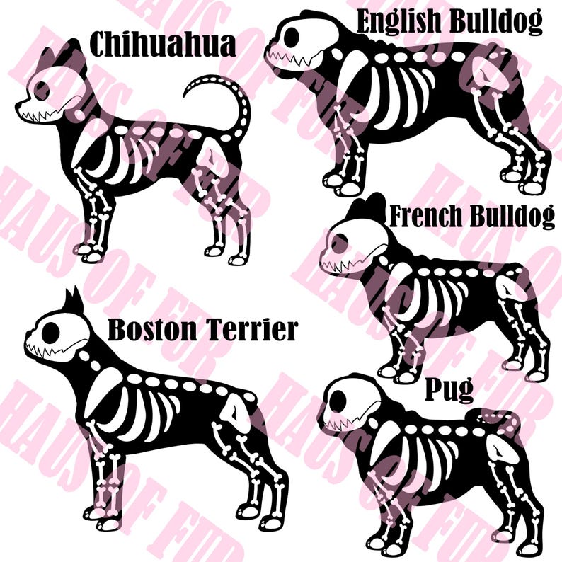 May include: A digital graphic featuring five black dog silhouettes with white skeletal structures overlaid. The breeds labeled are Chihuahua, English Bulldog, French Bulldog, Boston Terrier, and Pug. The text Haus of Fur is repeated in the background.