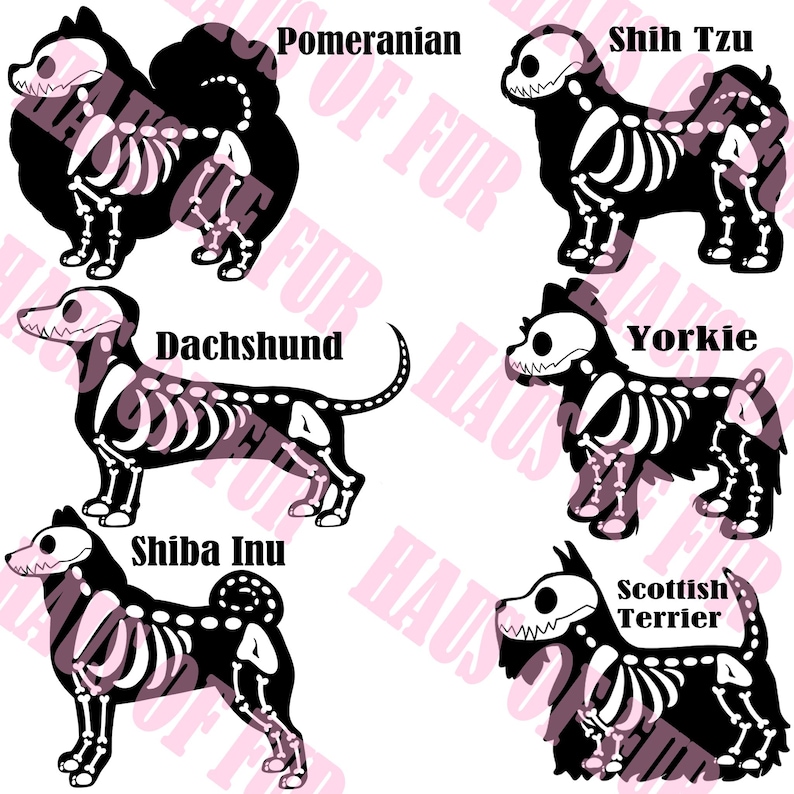 May include: A digital graphic featuring six black dog silhouettes with white skeletal overlays. The breeds labeled are Pomeranian, Shih Tzu, Dachshund, Yorkie, Shiba Inu, and Scottish Terrier. The background contains a repeating light pink text watermark.