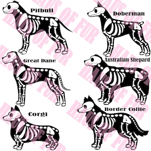 May include: A digital graphic featuring six black dog silhouettes with white skeletal overlays. The breeds labeled are Pitbull, Doberman, Great Dane, Australian Shepard, Corgi, and Border Collie. The background contains a faint repeating watermark text.