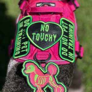 Custom dog harness patches