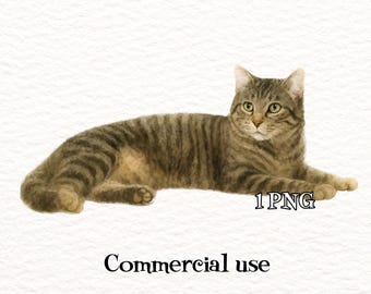 エキゾチックショートヘアの水彩猫のイラストグラフィック - 商用利用