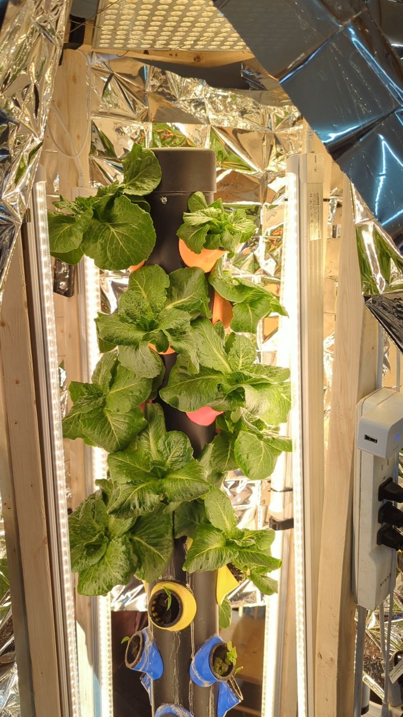 Op de afbeelding: Een verticaal hydroponisch kweeksysteem met een zwarte toren en meerdere groene bladplanten die groeien in gele en blauwe potten. Het systeem is opgezet in een kleine kweektent met reflecterende zilveren voering.