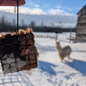 Op de afbeelding: Een vierkante vogelvoederbak van draad, gevuld met plukken bruine, bruine en witte vezels. De voederbak wordt opgehangen door een zwarte draad. De achtergrond toont een besneeuwd veld, een houten constructie en een vage alpaca.