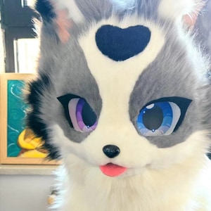 Fursuit Head Full Body, Meteorite Border Collie FurryNew Pre-Made Fur Head + Claws + Feet + Tail + Leg, Furry Cosplay, Full Fursuit