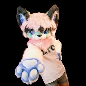 Fursuit Head, Furry  Pre-Made Fur Head + claw, Furry Cosplay,Fantasy Creatures