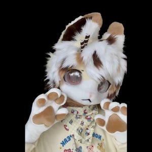 Fursuit Head, Furry  Pre-Made Fur Head + Claws, Furry Cosplay,Fantasy Creatures