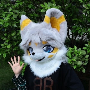 Fursuit Head- Only Head, Dog Furry Pre-Made Fur Head, Furry Cosplay, Fursuit Premade, Dog Fantasy Creatures, Cute Furry Mask Head