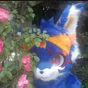 Fursuit Head, Furry  Pre-Made Fur Head, Furry Cosplay,Fantasy Creatures