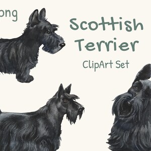 Scottish Terrier Clipart-Set Hund Illustration Kleiner schwarzer Hund Scotty Süßes Haustier Clipart Bester Freund Hund Aquarell Clipart