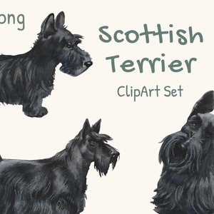 Scottish Terrier Clipart Set Dog Illustration Little Black Dog Scotty Scottish Terrier Clipart Set Dog Illustration Little Black Dog Scotty