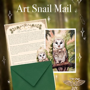 May include: A stationery set titled Art Snail Mail featuring a letter with the heading The Owl Beneath the Pines, a watercolor print of a barn owl perched on a branch, and a dark green envelope. A logo with an owl and the text The Owl Post is visible.