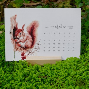 May include: A rectangular calendar page for October 2027 featuring a watercolor illustration of a red squirrel perched in a tree hollow holding a nut. The calendar grid displays the days of the month in black text on a white background, supported by a light-colored wooden block stand.