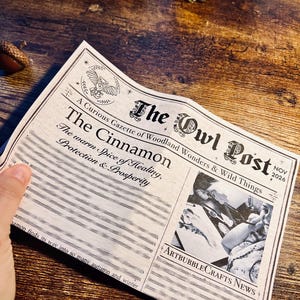 May include: A printed paper titled The Owl Post, dated Nov 2026, featuring the headline The Cinnamon: The warm Spice of Healing, Protection & Prosperity. It includes an owl illustration, a black and white image, and ArtBubbleCrafts News text.