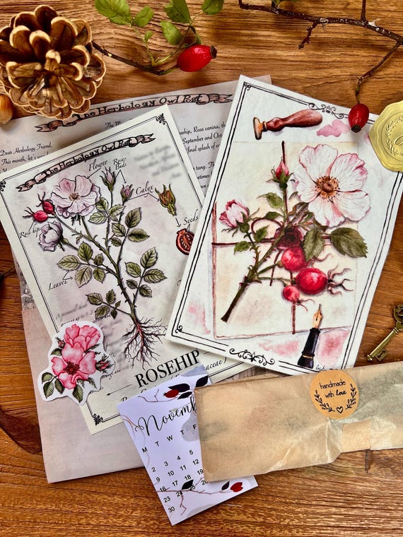 Nature Art Snail Mail Club, Botanical Mini Art Print, Art and Science Happy Mail, Gift for Nature Lovers, Nature-themed Letter Mail Club