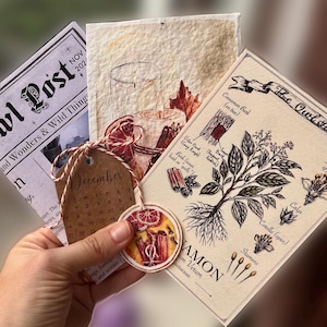 May include: A collection of printed paper cards including a botanical illustration of cinnamon labeled Cinnamomum Verum, a card with a candle and orange slice illustration, and a December calendar tag tied with red and white twine.