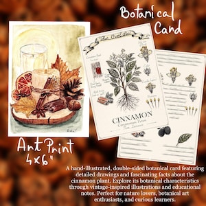 May include: A 4x6 inch art print featuring a watercolor illustration of a candle, cinnamon sticks, dried orange slices, and autumn leaves, alongside a botanical card with detailed ink drawings and text about the cinnamon plant.