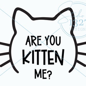 May include: Black and white graphic design of a cat's face with the text "Are you kitten me?"