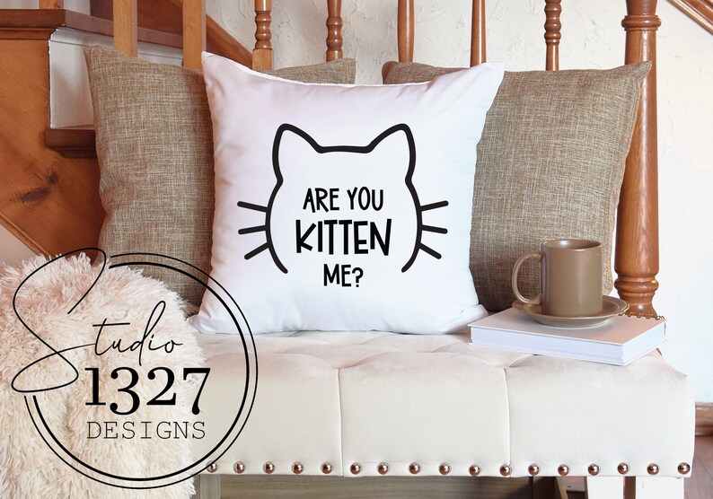 May include: White throw pillow with black text that reads "Are you kitten me?" with a black outline of a cat's head.