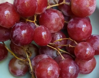 Rare Black/Red Fnger Grape Seeds, 30pcs/pack | Grapes, Flower seeds