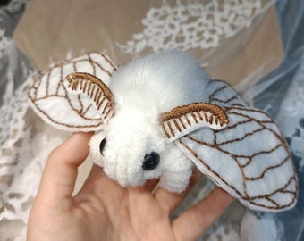 Is The Venezuelan Poodle Moth A Real Animal