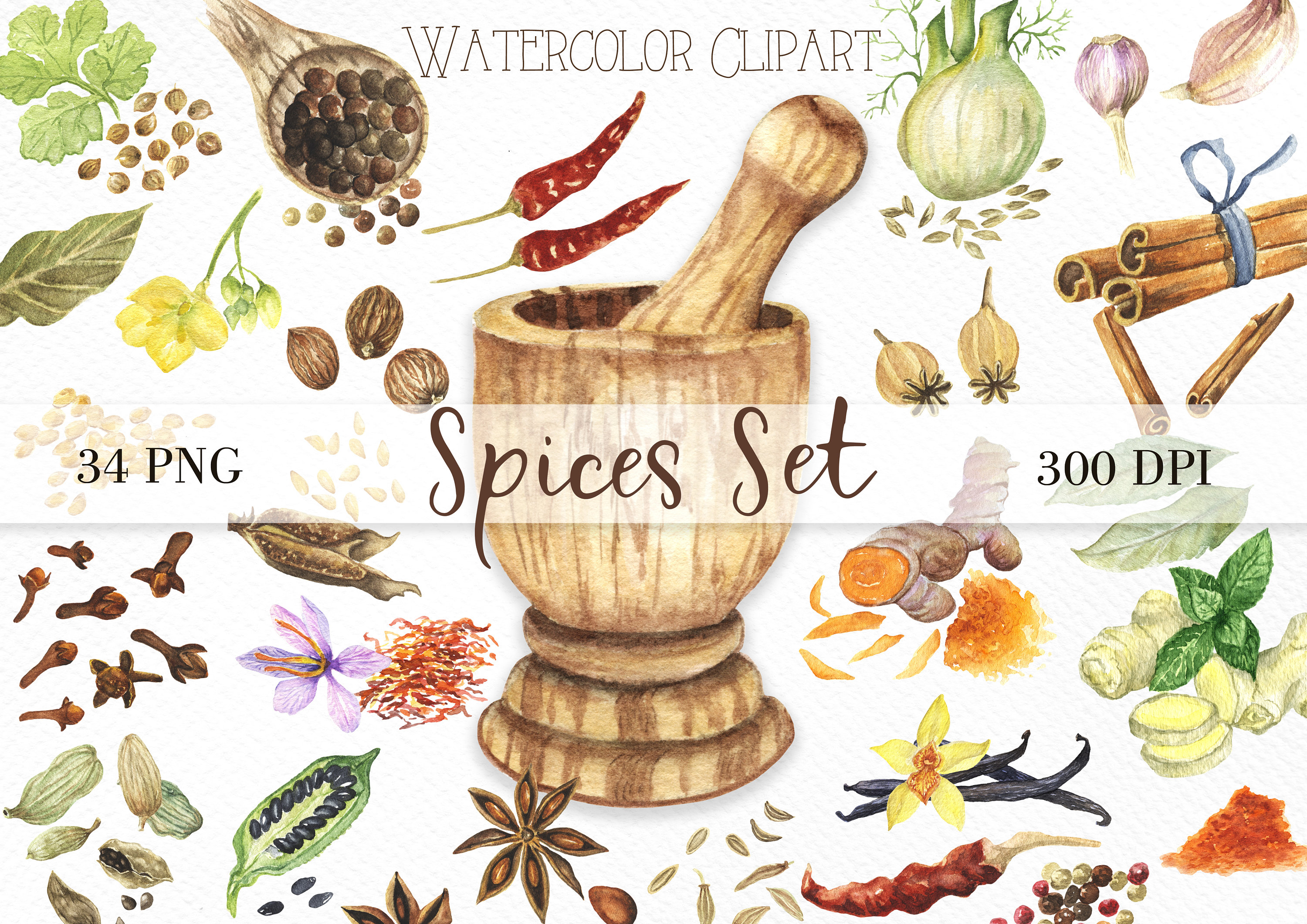 Set of spices and herbs for cooking Royalty Free Vector