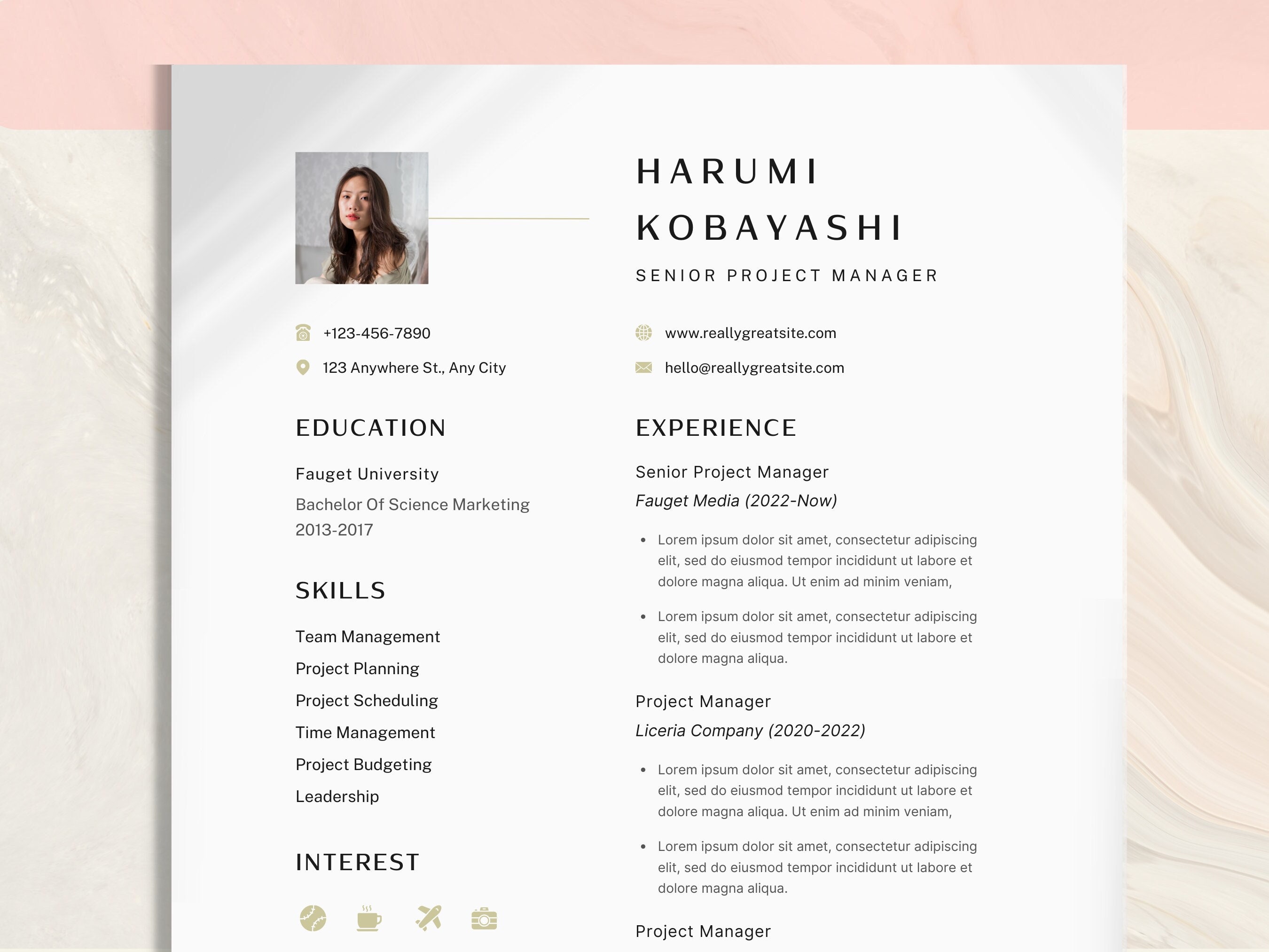 3 Page Resume Template Professional Modern Resume Template Executive ...