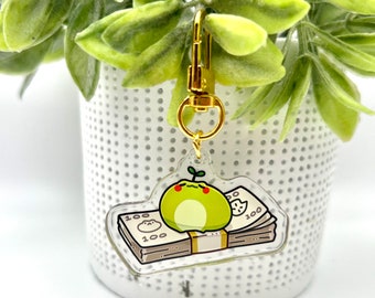 Money frog keychain