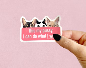 Feminist Cat Sticker