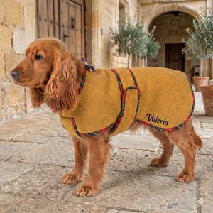 Peut inclure: Un chien de couleur dorée portant un manteau moutarde avec des bordures rouges et vertes. Le manteau porte le nom "Valeria" en écriture noire. Le chien se tient sur un sol en pierre.
