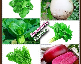 May include: A collage of fresh vegetables, including leafy greens, a large white turnip, and a red beet cut in half. The text "Suzanne's Garden" is in the center. The image showcases a variety of produce.