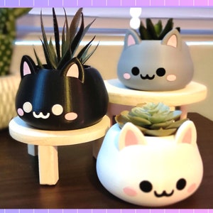 Kawaii Cat Face Plant Holder | 3D Print | Holoprops