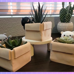 Kawaii Box Cat Plant Holder | 3D Print | Holoprops