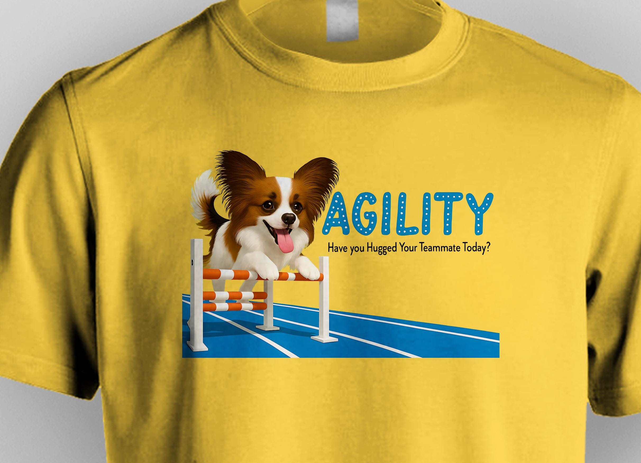 Papillon Agility Competition Papillon Agility