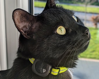 Cat Tracker Halsbandhalter Für 'Fliesen Sticker'
