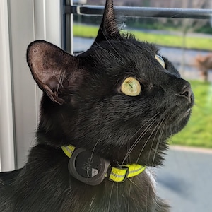 May include: A black cat with green eyes wearing a yellow and grey collar with a black tracker that says "Tile" on it.
