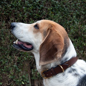Brown Leather Dog Collar. Luxury Dog Collar image 6