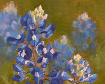 Texas Hill Country Bluebonnets, Spring Mix #25, 8 x 10 inch Fine Art Print gemonteerd op een wit passe-partoutbord van 11 x 14 inch, klaar om in te lijsten