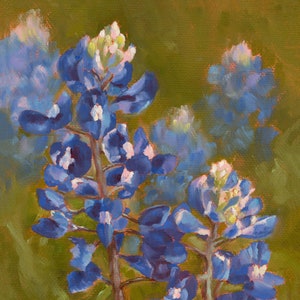 Texas Hill Country Bluebonnets, Spring Mix #25, 8"x10" Fine Art Print mounted in an 11"x14" white mat board, ready to frame
