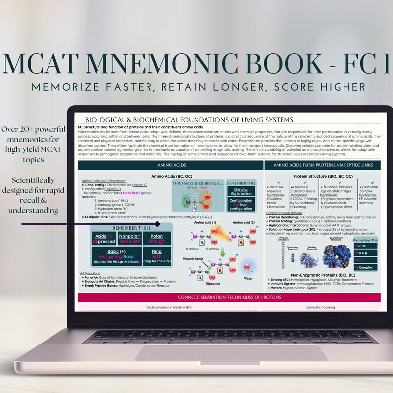 MCAT Mnemonic Book | Foundational Concept 1 | Biology Biochemistry ...