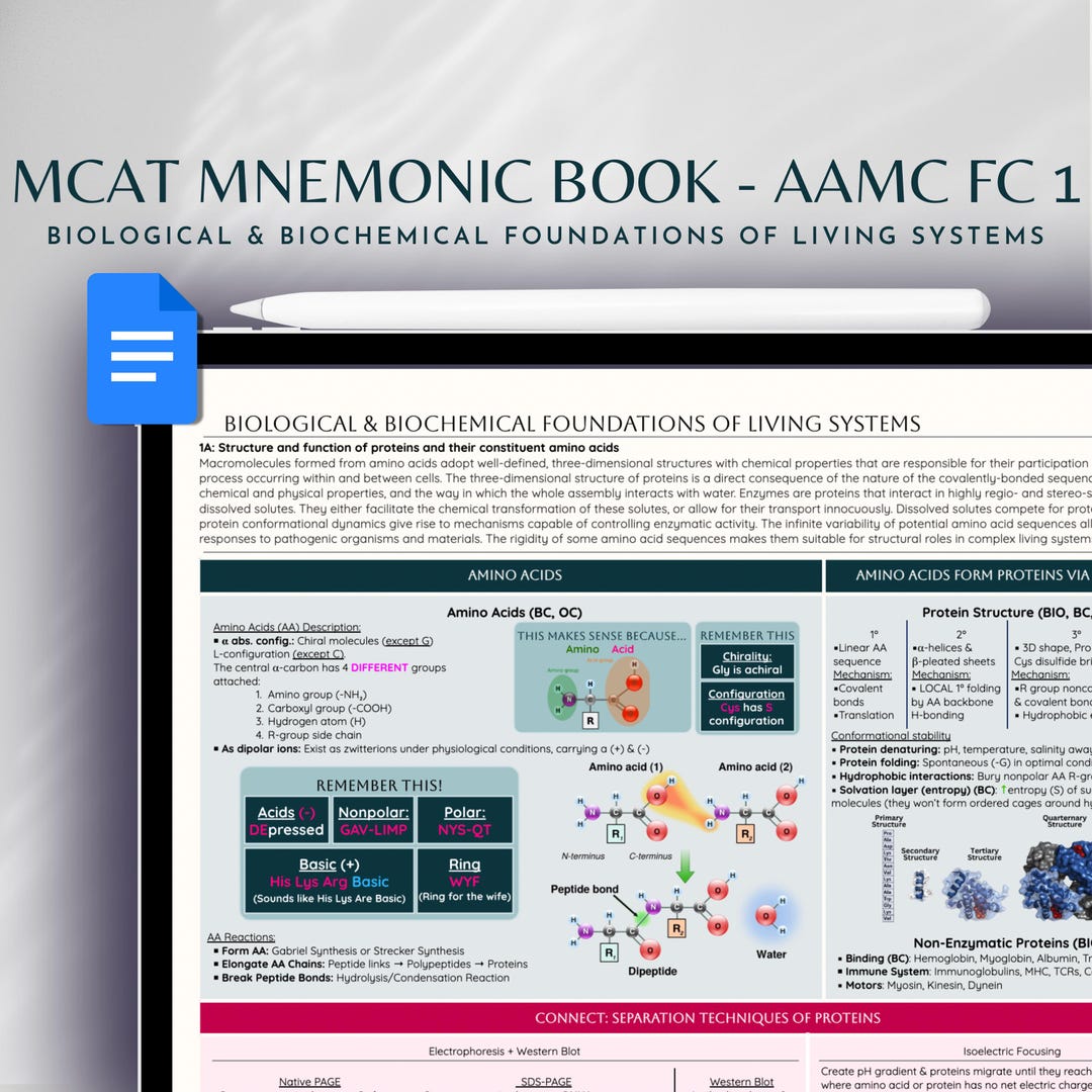 MCAT Mnemonic Book | Foundational Concept 1 | Biology Biochemistry ...