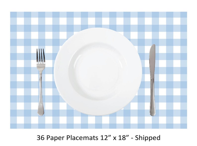 Baby Blue Gingham Paper Placemats Set of 36 Paper Placemats 12 X 18