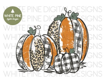 Plaid Pumpkin PNG, Leopard, Fall Sublimation (Digital Download)