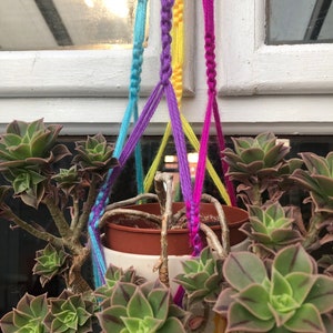 May include: A macrame plant hanger with three strands of yarn in blue, yellow, and pink, holding a pot with a succulent plant.