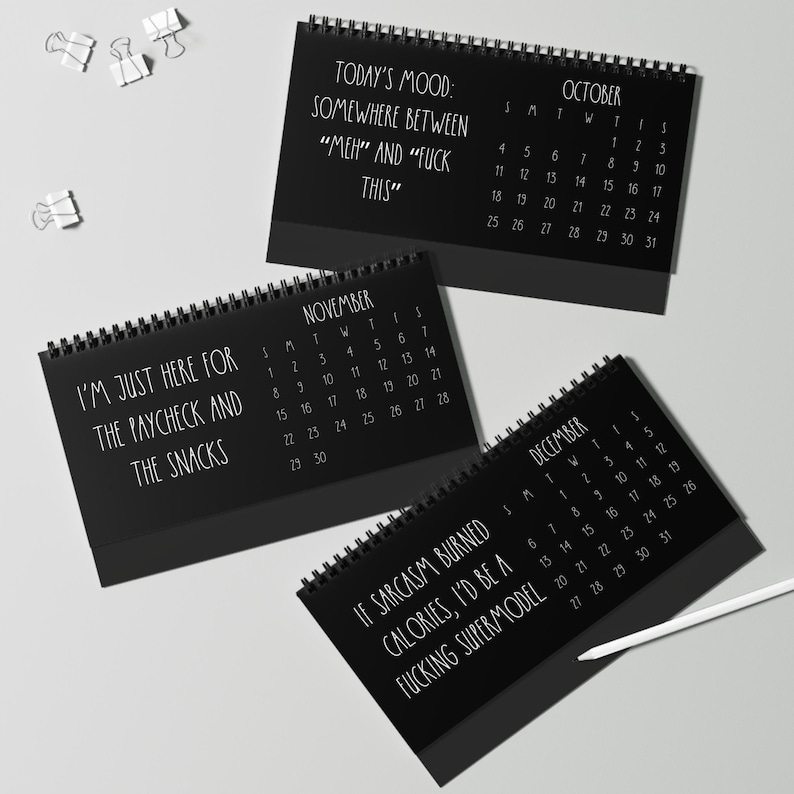 Desktop Calendar, 2026 Funny Office Humor Life Hacks, White Elephant Gag Gift, Coworkers Employees Best Friend Gift, Sarcastic Desk Decor image 8