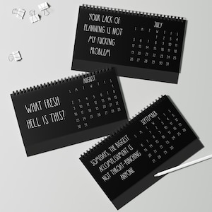 Desktop Calendar, 2026 Funny Office Humor Life Hacks, White Elephant Gag Gift, Coworkers Employees Best Friend Gift, Sarcastic Desk Decor image 7