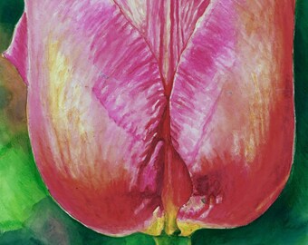 Gorgeous Red Tulip Green Background, Floral Watercolor, Floral Art Print, Realistic Tulip Painting, Vivid Art, Affiche Botanique Art