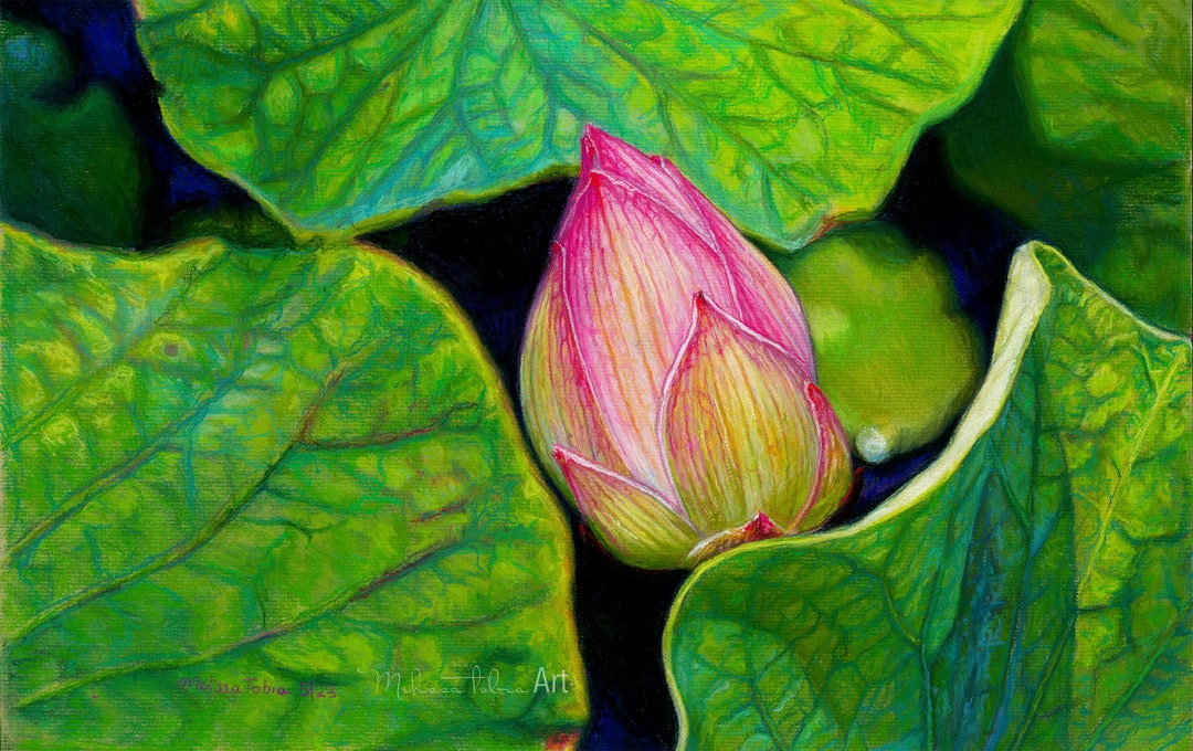 Original Pink Lotus Pastel Painting Unbloomed Lotus Floral Etsy
