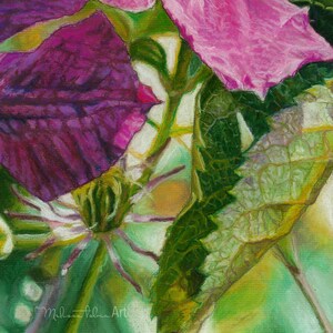 Sunbasking Clematis Giclee Print Canvas Pastel Painting Home Decor Wall Art Gifts Floral Artwork Green background Interior Design Botanical Drawing