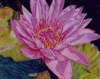 Gorgeous Pink Waterlily Art Print . Waterlily Artwork . Ready to Hang . Calm Art Prints for Home . Gifts for Mom